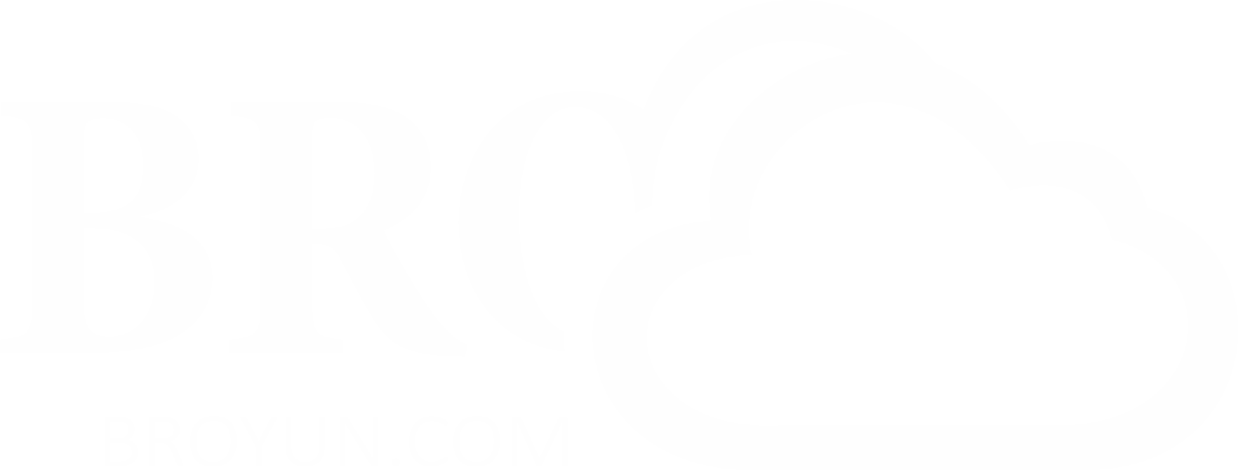 般若云科技, 企业数字化AI Agent生成平台